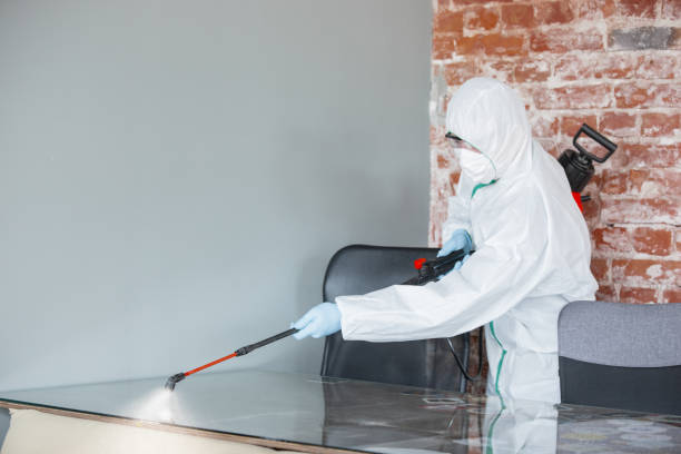 Mold Odor Removal Services in Smethport, PA