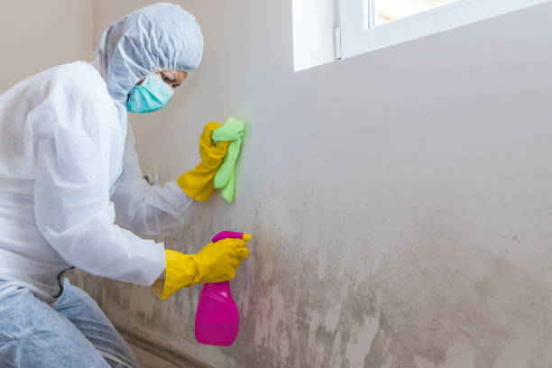 Best Mold Remediation for Healthcare Facilities  in Smethport, PA