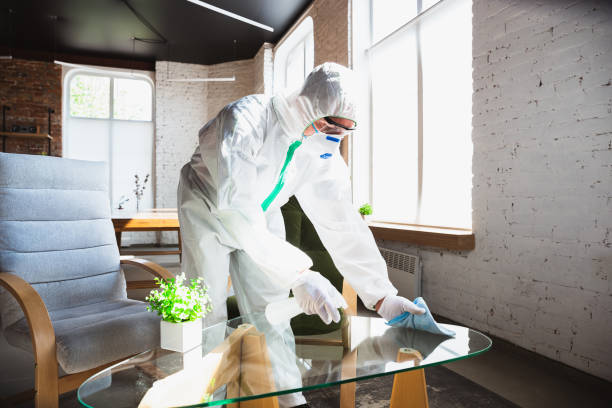 Best Emergency Mold Remediation  in Smethport, PA