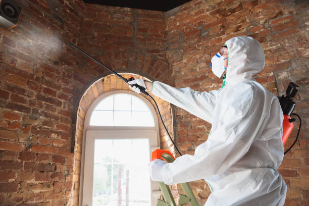 Best Mold Prevention Services  in Smethport, PA