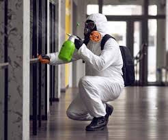 Best Comprehensive Air Testing for Mold Contaminants  in Smethport, PA